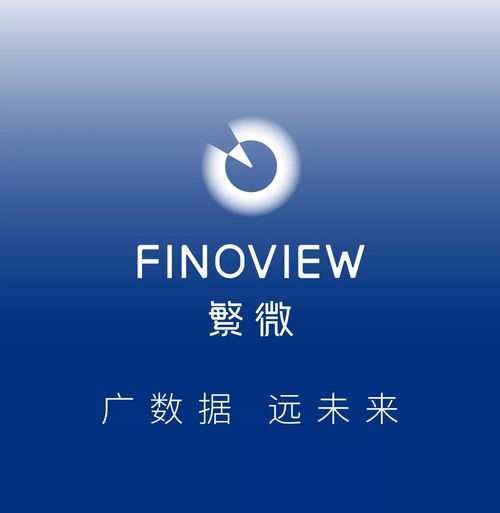 天氣擔憂引發美豆飆漲，網站建設及維護服務的啟示